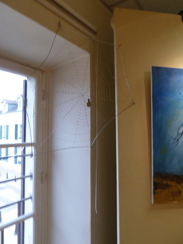Toile d'araignée I — Technique mixte par Eliane Desther