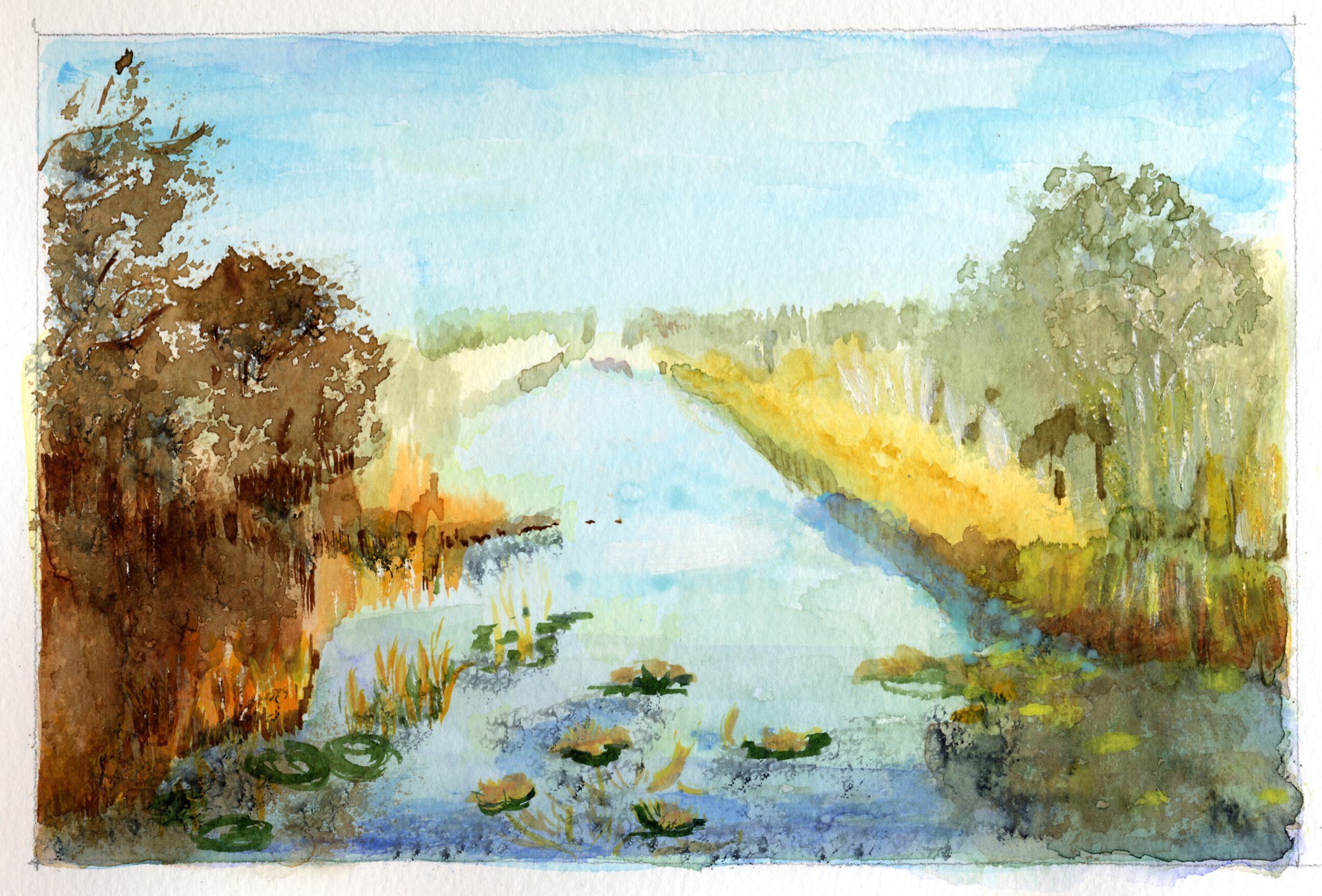 Les Everglades — Aquarelle sur papier par Eliane Desther