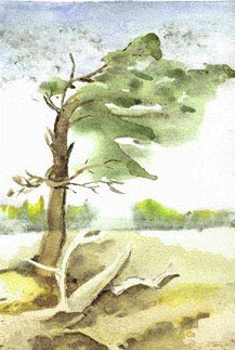 L'Arbre — Aquarelle sur papier par Eliane Desther